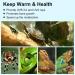 Buy Pewingo Turtle Heat Lamp - UVB Basking Spot Lights for Reptiles | 360 Swivel Clamp | Halogen & Orange Light | Ideal for Turtles Snakes & Lizards - Buy Online on SooperMarket.com