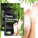 Detox Foot Patches 20 Pcs Natural Detox Foot Pads Feet Detox Pads Deep Cleansing for Impurity Removal & Deep Sleep with Bamboo Vinegar and Ginger Relaxation Enhance Blood Circulation 20pcs