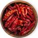 Bremer Gew rzhandel Chilis whole Tianjin Chilis slightly to medium hot ideal for cooking or pickling 10 x 50g 500 g