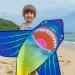 Nuoada Shark Kite for Kids and Adults - Easy-to-Fly Beginner Kite with Long Tail for Outdoor Beach Fun - Includes 270ft Kite Line and Bag - Buy Online on SooperMarket.com