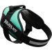 IDC Power Harness Dog Harness - Size L/1 - Grass Green | International Shipping Available - Buy Online on SooperMarket.com
