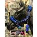 Equipride Horse Print Fur Padded Nylon Headcollars with Lead Rope Royal Blue (Mini Shetland) Royal Blue Mini Shetland - Buy Online on SooperMarket.com