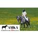 AMKA Double Broken Snaffle Bit | 18mm Stainless Steel | 65mm Rings | Ideal for Horses up to 17.5 cm - Shop Internationally - Buy Online on SooperMarket.com