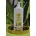 Aloe Vera Gold Propolis Cream Value Pack - 500 ml | Hydrating Skin Care for All Skin Types | International Shipping Available - Buy Online on SooperMarket.com