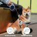 New Classic Retractable Dog Leash for Dogs up to 15kg - Ultra Strong 5m Belt with 360 Guiding & Braking - Black - International Shipping - Buy Online on SooperMarket.com