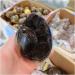 Crystal 1pcs 900-1.1kg Natural Curvature of The Furnishing Articles Turtle Grain s Ball Septarian Nodule Crystal Quartz - Buy Online on SooperMarket.com