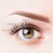 120 Clusters C Curl DIY Eyelash Extension Premade Volume Fans by MAEXUS | Individual Lashes - 0.07C 8mm-16mm MIX BP02BK20D_A - Buy Online on SooperMarket.com