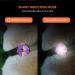 LaRoo Safety LED-Flashing Light for Dogs Cats LED-Light Pendant Keyring Clip on Dog Collar Charms Blinker Light Waterproof Safety Light for Walking the Dog and Outdoor Sports rechargable Purple-1 - Buy Online on SooperMarket.com