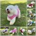 Dog Shirts Cotton Striped T-Shirts  Breathable Basic Vest for Puppy and Cat  Super Soft Stretchable Doggy Tee Tank Top Sleeveless  Fashion & Cute Color for Boys and Girls (M  Pink+Green) Medium Pink+Green - Buy Online on SooperMarket.com
