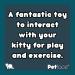 Petface Catnip Butterfly Teaser - Fun Interactive Toy for Cats - Buy Online on SooperMarket.com