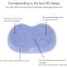 Hands-Free Foot & Back Scrubber for Shower - Multifunctional Body Brush with Suction Cup - Exfoliates, Massages, Non-Skid Mat (Blue) - Bathroom Scrubber - Buy Online on SooperMarket.com