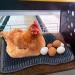 Hamiledyi Chicken Nesting Pads  Hen Nest Mats Washable  Chicken Nesting Box Plastic Liners  Reusable Egg Laying Mats for Chicken Coop Poultry Nest Boxes Ducks Nesting Pads 6PCS - Buy Online on SooperMarket.com