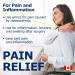 Promise Organic Ultra Arnica Lotion Pain Relief Maximum Strength European Certified Arnica Made in Canada (340ml) - Buy Online on SooperMarket.com