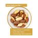 Organic Brazil Nuts 500g | Premium Freshly Filled Natural Nuts from Jalall D'or | International Shipping - Buy Online on SooperMarket.com