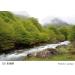 Cokin A120 G1 Grey Graduated Filter | Creative Photography Filter - Buy Online on SooperMarket.com