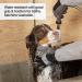 PetFusion Multipurpose Pet Glove for Grooming, Vet Trips & Handling - Medium, Grey - Buy Online on SooperMarket.com
