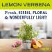 Mrs. Meyer's Lemon Verbena Liquid Hand Soap - Cruelty-Free Biodegradable Essential Oils 16 oz | International Shipping - Buy Online on SooperMarket.com