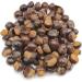 Dried Guarana 40g - 1 95Kg Paullinia Cupana (40 Grams) - Buy Online on SooperMarket.com