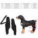 BORDSTRACT Dog Leg Braces for Hind Leg Adjustable Dog Knee Brace for Cruciate Ligament Injury Protecting Wounds Surgery Healing Arthritis Joint Pain and Muscle Sore HJ25 L - Buy Online on SooperMarket.com