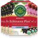 Traditional Medicinals - Organic Echinacea Plus Elderberry Herbal Tea (Pack of 6) - Help Fight off Respiratory Tract Infections - 96 Tea Bags Total Echinacea Plus Elderberry 16 count (Pack of 6)