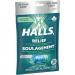 HALLS No Sugar Added Assorted Mint Cough Drops Throat Lozenges Sore Throat Relief Mentho-Lyptus 25 Lozenges Assorted Mint 25 Count (Pack of 1) - Buy Online on SooperMarket.com