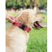 Joyal Tactical Dog Collar | Large Dog Collar with Handle & QR Code | Bright Pink XL - Durable & Stylish - Buy Online on SooperMarket.com