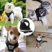 DKDDSSS Cat Harness and Lead Set Soft Mesh Harness for Outdoor Adjustable Reflective Strips Vest Harnesses Escape Proof Cat Kitten Walking Vest with Collar for Medium Cats Pets (M Black) - Buy Online on SooperMarket.com
