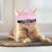 WEBEEDY 2 Sets Dog Hat and Sunglasses Set Summer Sunbonnet Adjustable Stripe Baseball Cap Pet Puppy Sunglasses for Outdoor Use - Buy Online on SooperMarket.com