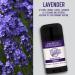 All Natural Aluminum Free Men's Deodorant - Lavender - Long-Lasting & Cruelty-Free - Made in USA - Buy Online on SooperMarket.com