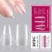 INPING Soft Gel Full Cover Nail Tips 240PCS 12 Sizes Short Nail Tips French Acrylic Fake Nails Pre-Shaped Mix Artificial Clear Gel Extensions with Box for Manicure Salons Nail Art ALMOND & SQUARE 240pcs Short(Almond+Square)