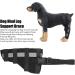 Dog Rear Leg Protector Dog Safe Neoprene Material Rear Leg Support Prevent Licking for Injury Recovery (L) - Buy Online on SooperMarket.com