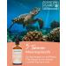 Premium Norwegian Salmon Oil for Dogs | Omega-3 Rich Supplement | 100ml - High-Dose Natural Formula - Buy Online on SooperMarket.com