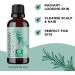 Rosemary and Castor Oil Set for Hair, Skin, and Nails - Natural Essential Oils for Growth and Hydration - Buy Online on SooperMarket.com