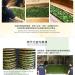 Taiwan unique tea Lishan Snow Green Bud Tea Fragrance Oolong Tea 150g*4 - Buy Online on SooperMarket.com