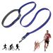Tuff Pupper Hands Free Adjustable Length Dog Leash | Lightweight for Running Jogging Walking | Padded Waist Belt (115-180 cm) | Adjusts 1 to 2 Metre Length | Strong Ballistic Nylon w/Reflective Strips Blazing Blue