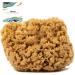 Naroa Natural Sea Sponge for Bathing | Unbleached Shower Body Scrubber Puff | Firm Exfoliating Bath Sponge for Healthy Skin | Eco Friendly Plastic Free Renewable Sponge for Men Women (Medium)