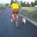iFCOW Dog Bike Leash - Hands-Free Bicycle Training Leash for Jogging & Walking | Silver Perfect for Cycling - Buy Online on SooperMarket.com