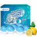 Maravello Washing Machine Cleaner 6-months Supply Eco Friendly Deep Cleaning And Deodorize Professional Cleaner Suitable For All Washer Machines Including HE Front Loader & Top Load Fresh 6 Count (Pack of 1)