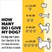 Premium Senior Dog Food for Dogs 7+ Years | Nutritious & Easy to Digest - Buy Online on SooperMarket.com