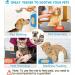 Lick Mat for Dogs - BPA-Free 2 Pack Leak Proof Mats with Strong Suction | Ideal for Bathing Training Fur & Claw Care - Includes Silicone Spatula - Buy Online on SooperMarket.com