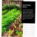 SUPVOX 3pcs Cucumber Cucumbers Fruit Vegetable Forming Shaping Picking Garden Square - Buy Online on SooperMarket.com