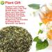 Plant Gift Strawberry Green Tea Oganic Fruit Herbal Tea All Natural Flavors Loose Leaf Apple Strawberry Orange Peel Grapes Peppermint Non GMO Vegan Tea Bags Into Iced Tea & Hot Tea 70G/2.5oz - Buy Online on SooperMarket.com