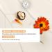 Yves Rocher Repairing Whipped Body Butter - Intense Nourishing Shea Butter Cream for Dry Skin (8.4 FL OZ) - Shop Internationally - Buy Online on SooperMarket.com