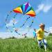 HONBO Large Delta Kite for Kids & Adults - Easy-to-Fly Beach Kite with Colorful Tail - Includes String Line - Ideal for Beginners - Buy Online on SooperMarket.com