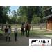 AMKA Stirrup Protectors - Premium Stirrup Covers & Bags | International Shipping Available - Buy Online on SooperMarket.com