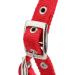 Premium PP Horse Bridle & Harness | Durable Horse Equipment for Home & Travel - Buy Online on SooperMarket.com