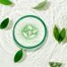 Fran Wilson Nourish My Eyes Cucumber and Green Tea Pads - 36 Pads | At-Home Spa Treatment for Puffiness | Revitalize Your Eyes | Easy-to-Use Eye Pads for Dark Circles (Pack of 3) - Buy Online on SooperMarket.com