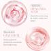 Rose Day Face Cream - Natural Rose Oil & Hyaluronic Acid Moisturizer for Dry Skin | Revitalizing & Firming - Buy Online on SooperMarket.com
