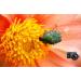 Raynox DCR-150 Snap-On Macro Lens - Enhance Your Photography with Precision - Buy Online on SooperMarket.com