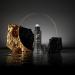 Concentrated Cologne for Men by Beard Struggle - 6x More Longer Than Traditional Colognes - Silver Collection - Alfheim's Forests - Mens Cologne 15 mL / 0.5 US. fl. oz. Glass Roller Bottle - Buy Online on SooperMarket.com